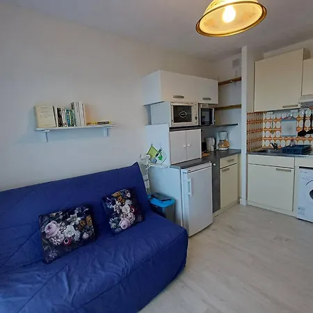 Apartment T1 Cosy 2 Etoiles Avec Animaux, Lave-linge Et Cuisine Equipee - Fr-1-571-24