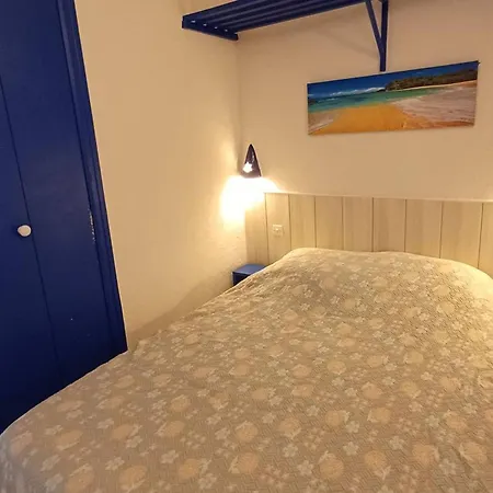 Apartment T1 Cosy 2 Etoiles Avec Animaux, Lave-linge Et Cuisine Equipee - Fr-1-571-24 Balaruc-les-Bains